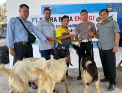 PT SBE Salurkan 20 Ekor Kambing Kurban untuk Masyarakat Lingkar Tambang