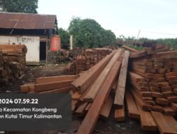 Puluhan Kubik Kayu di Sawmil Rizky, Diduga Hasil dari Ilegal Logging